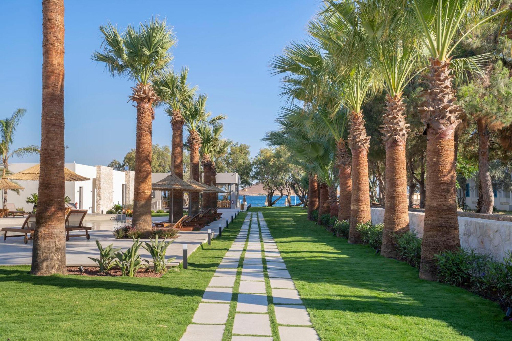 Regia Mare Beach Hotel & Spa Bodrum Ортакент Екстериор снимка